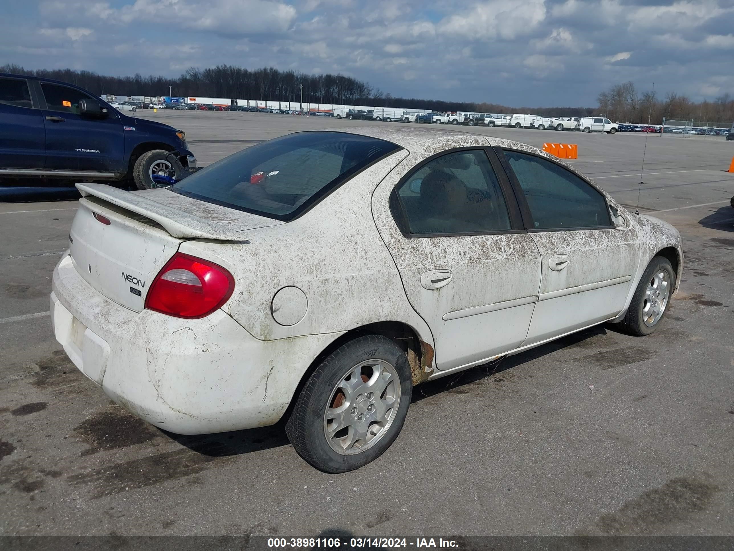 Photo 3 VIN: 1B3ES56C84D552053 - DODGE NEON 