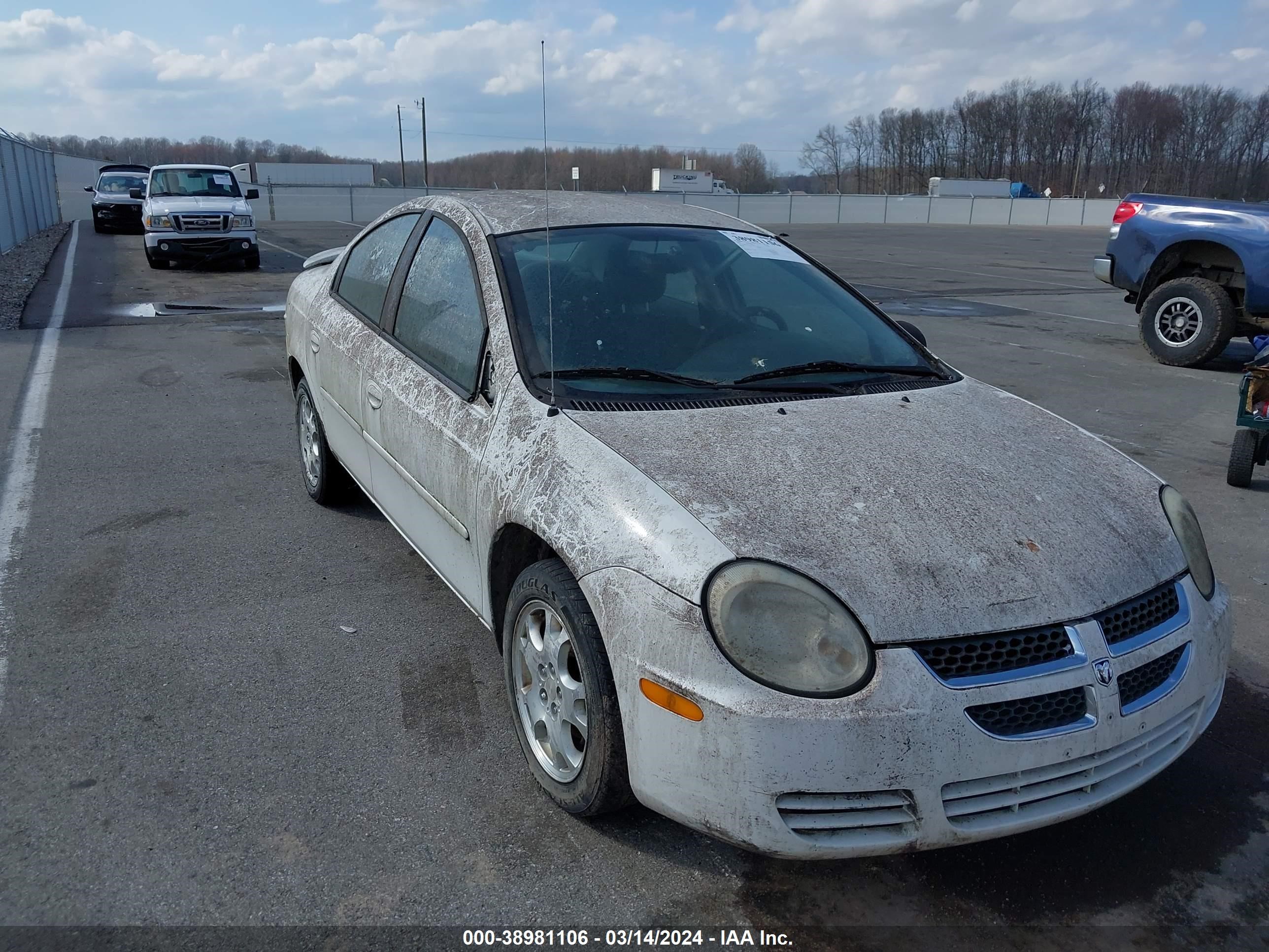 Photo 5 VIN: 1B3ES56C84D552053 - DODGE NEON 