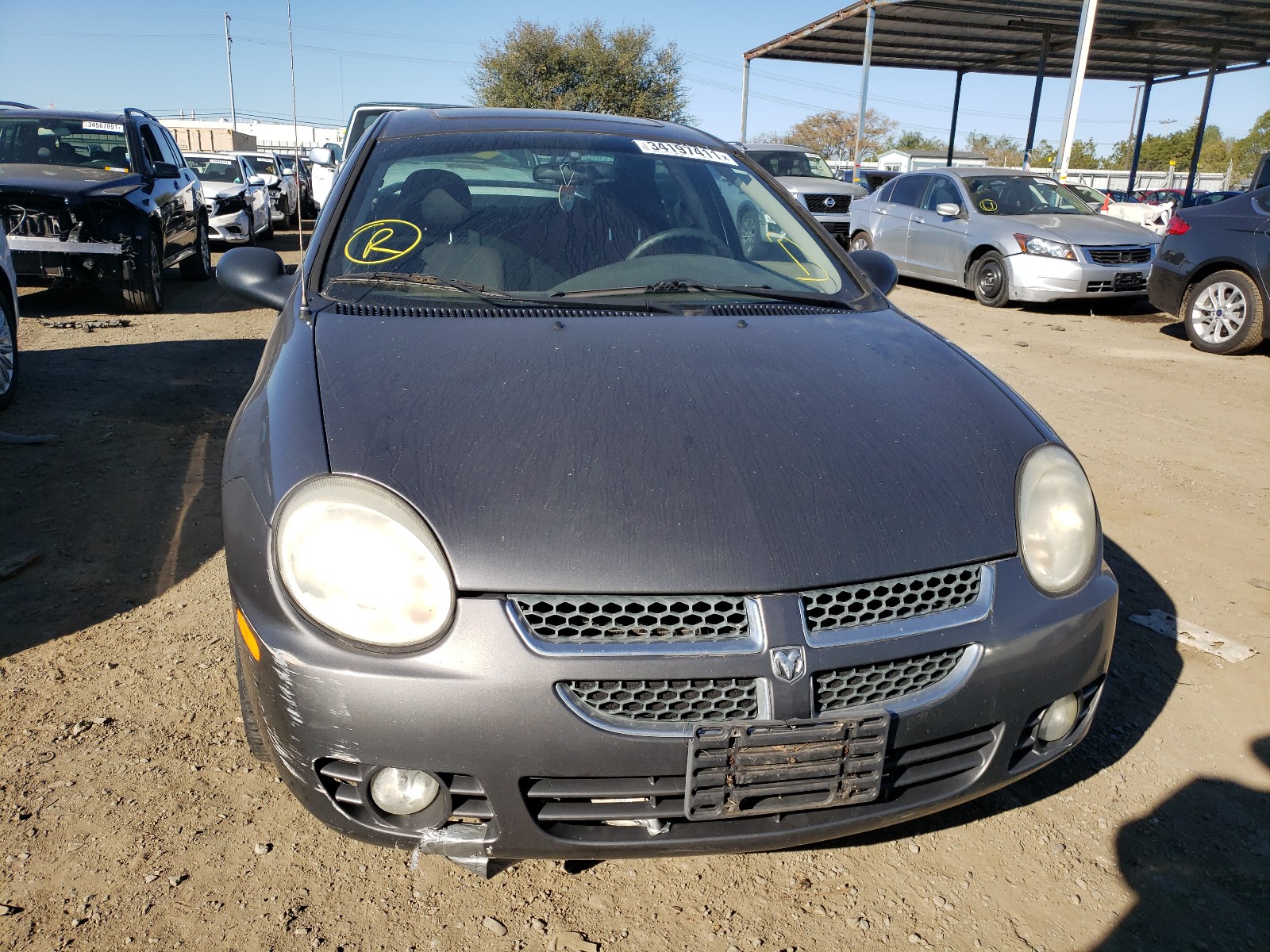 Photo 8 VIN: 1B3ES56C84D576885 - DODGE NEON 