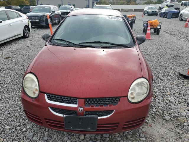 Photo 4 VIN: 1B3ES56C84D644439 - DODGE NEON SXT 