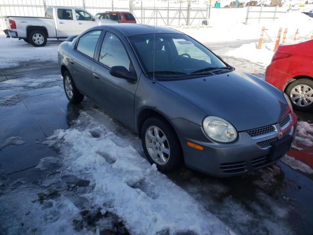 Photo 3 VIN: 1B3ES56C85D277608 - DODGE NEON 