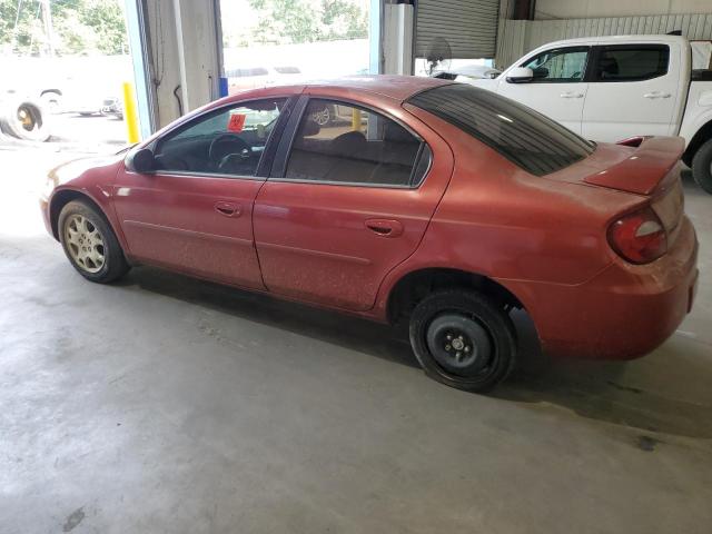 Photo 1 VIN: 1B3ES56C85D289192 - DODGE NEON SXT 