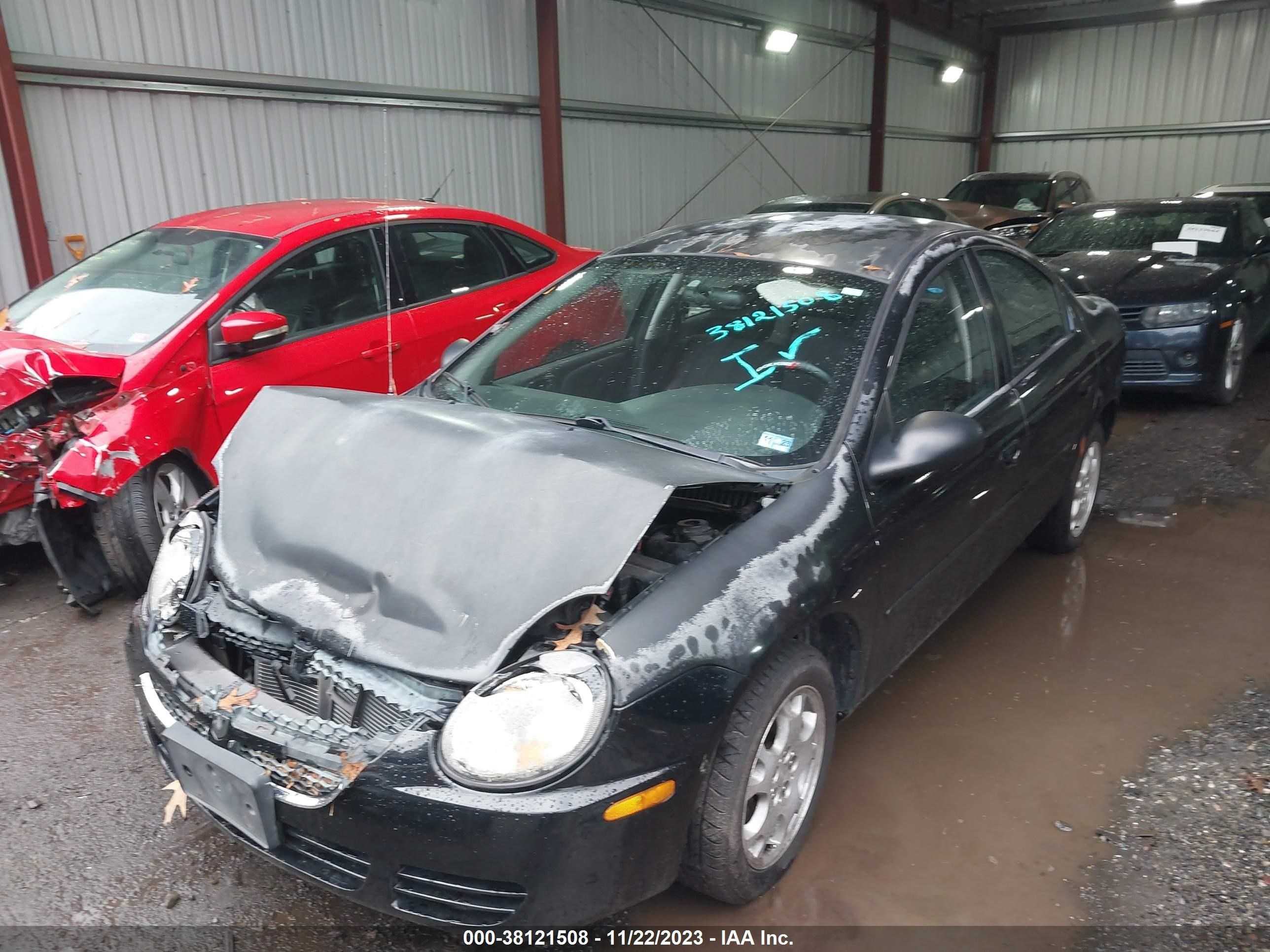 Photo 1 VIN: 1B3ES56CX3D256269 - DODGE NEON 