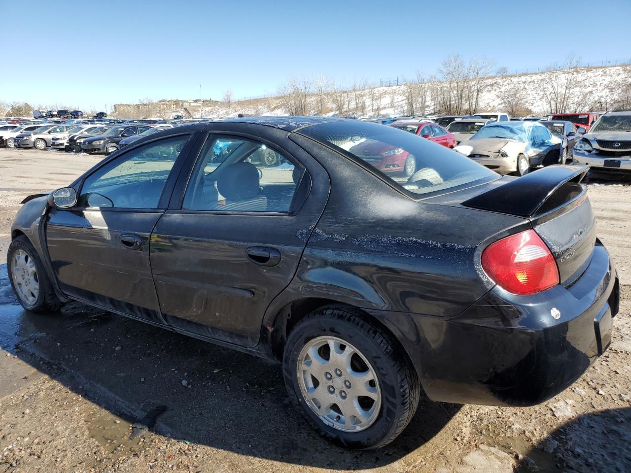 Photo 1 VIN: 1B3ES56CX3D260967 - DODGE NEON 