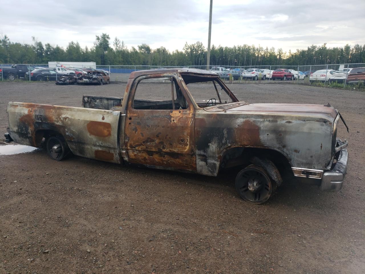 Photo 3 VIN: 1B7FE06Y9KS010459 - DODGE D150 