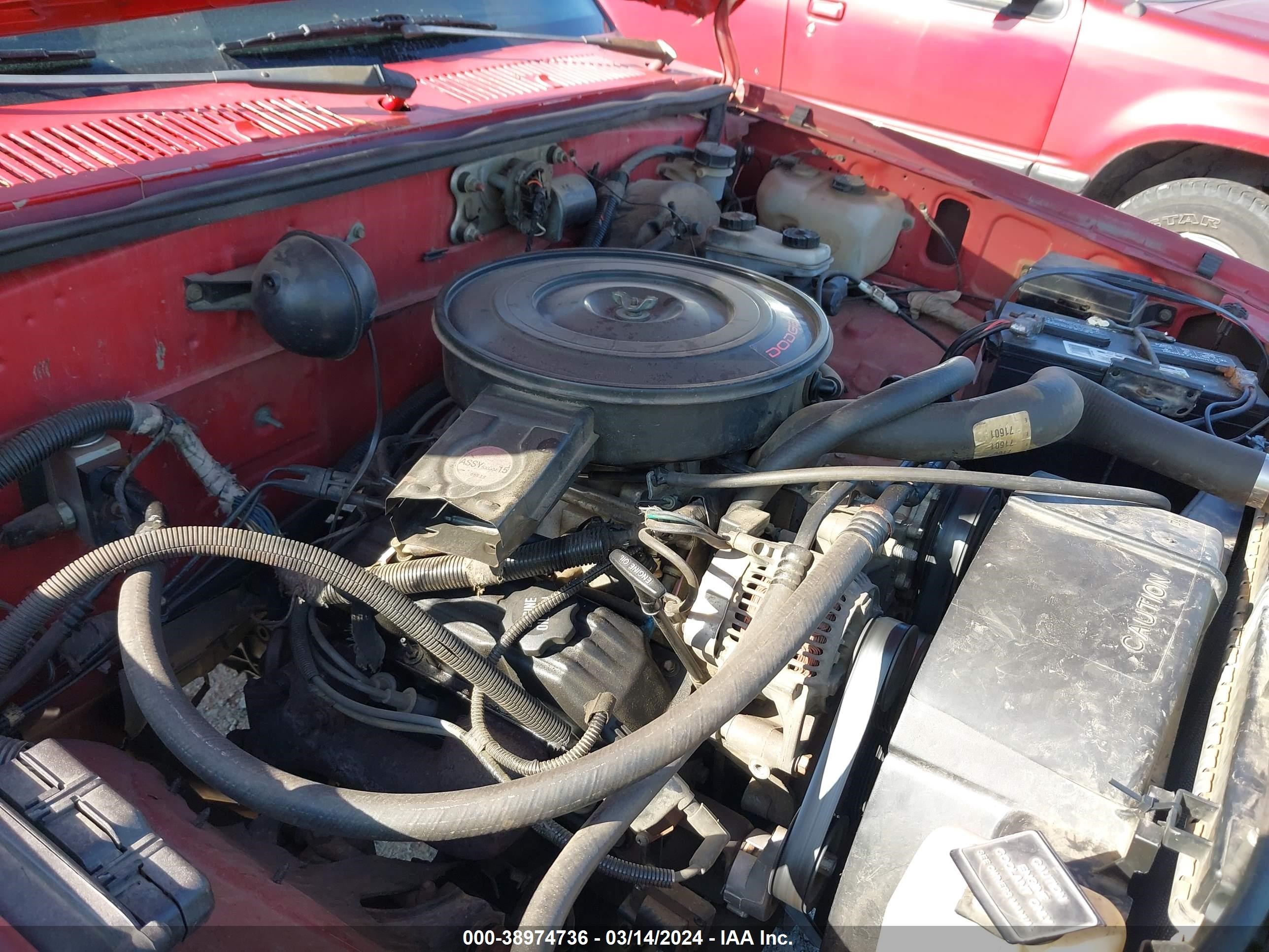 Photo 9 VIN: 1B7FL26X9PS246013 - DODGE DAKOTA 