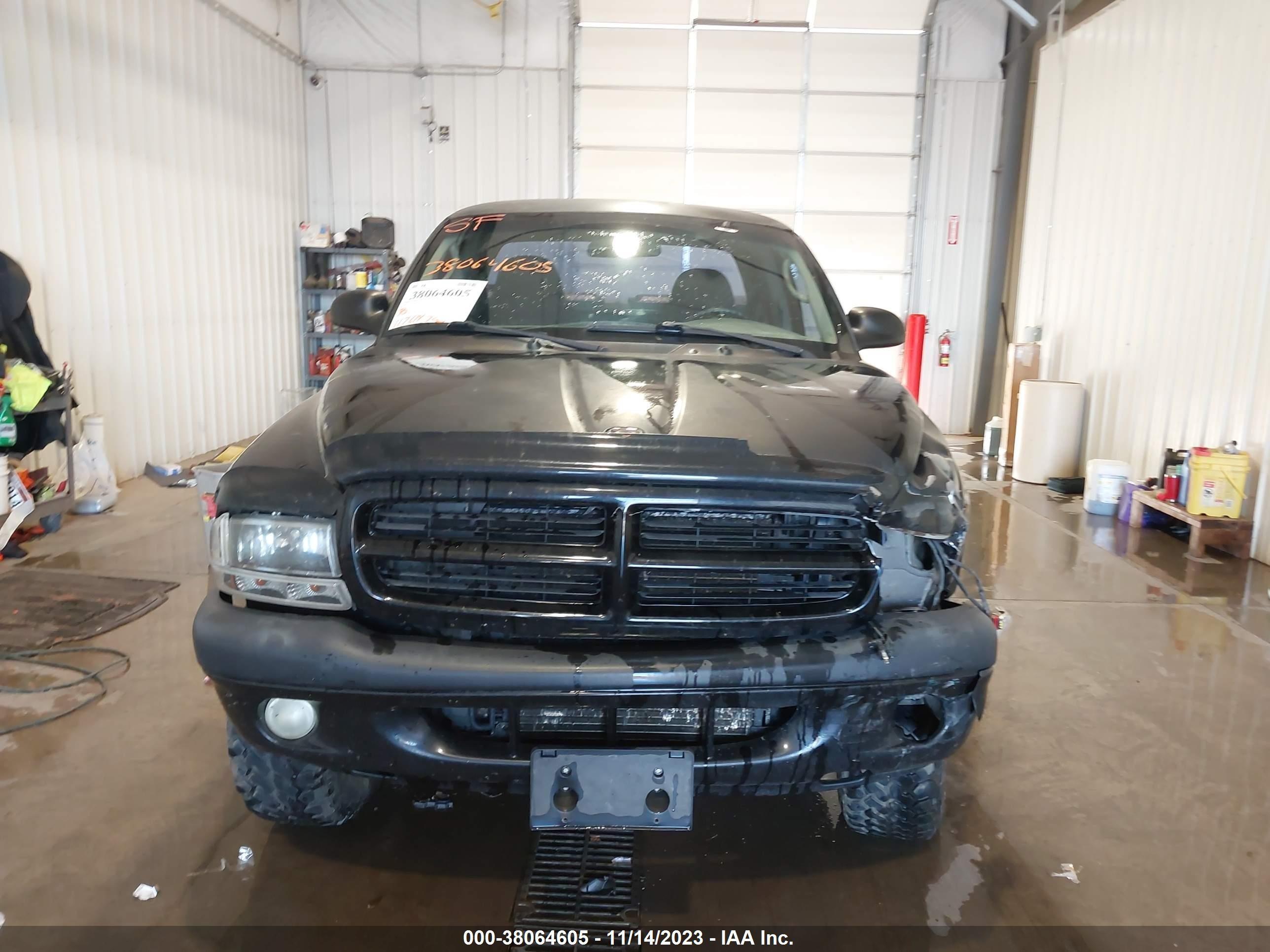 Photo 11 VIN: 1B7GG22N81S134355 - DODGE DAKOTA 