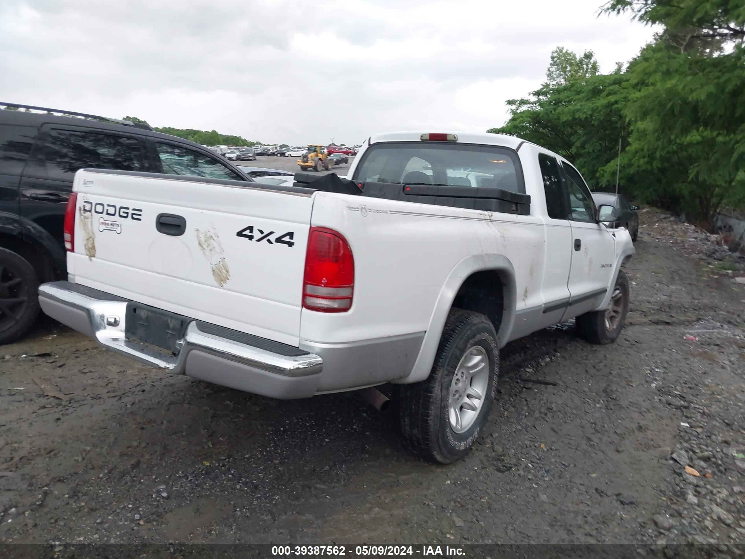 Photo 3 VIN: 1B7GG22X91S279454 - DODGE DAKOTA 