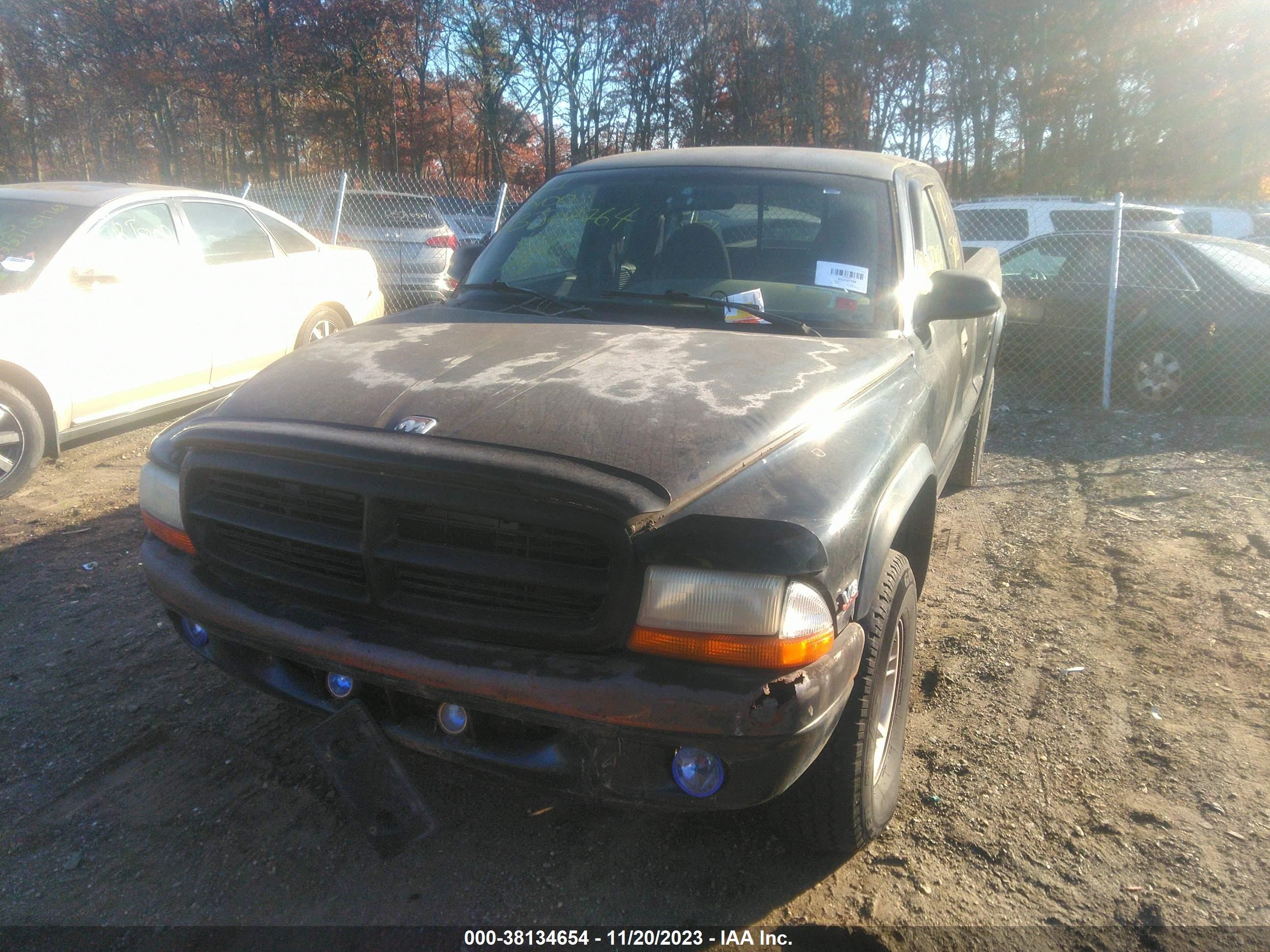 Photo 5 VIN: 1B7GG22Y5WS516568 - DODGE DAKOTA 