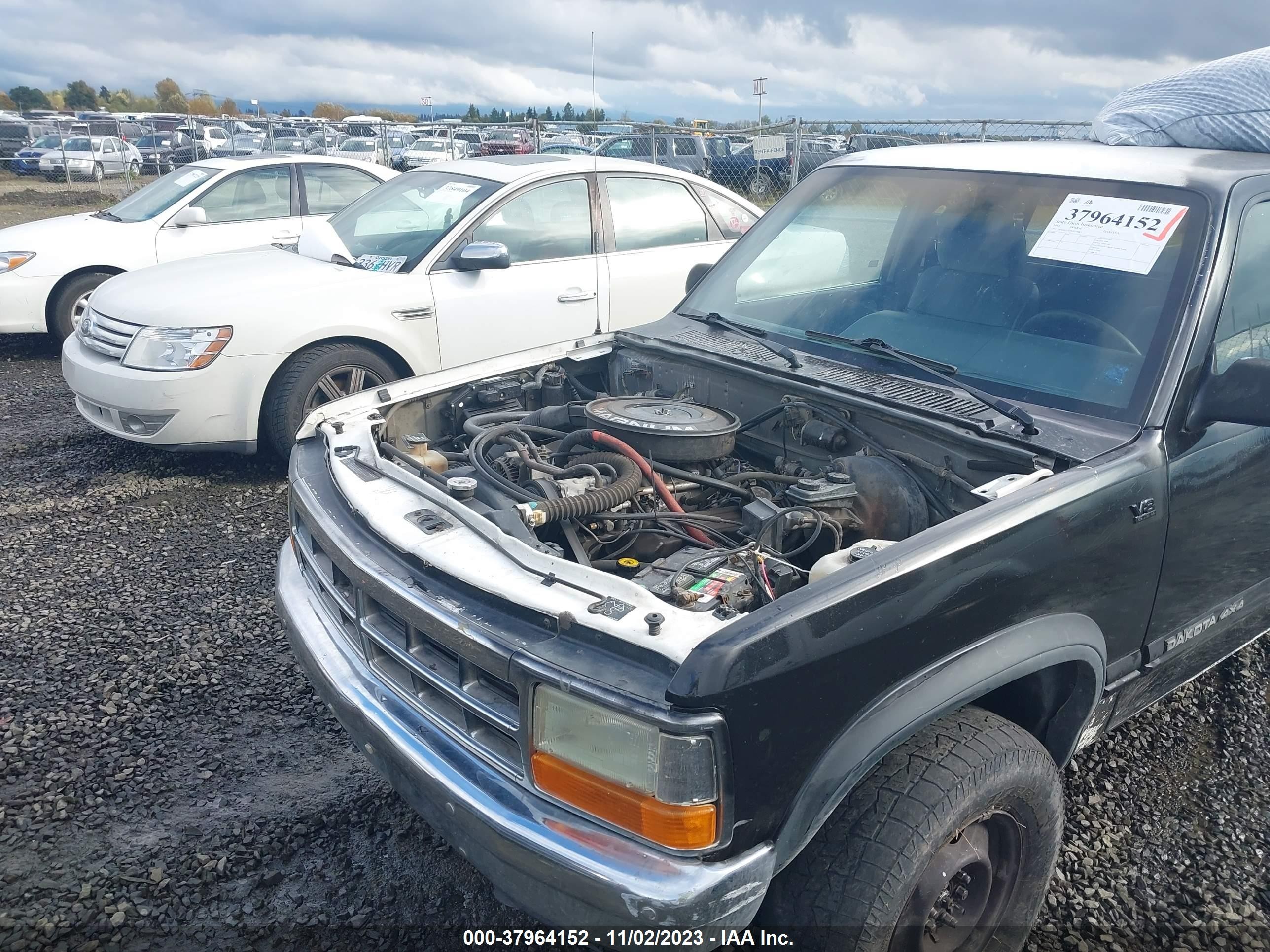 Photo 5 VIN: 1B7GG23Y8NS578883 - DODGE DAKOTA 