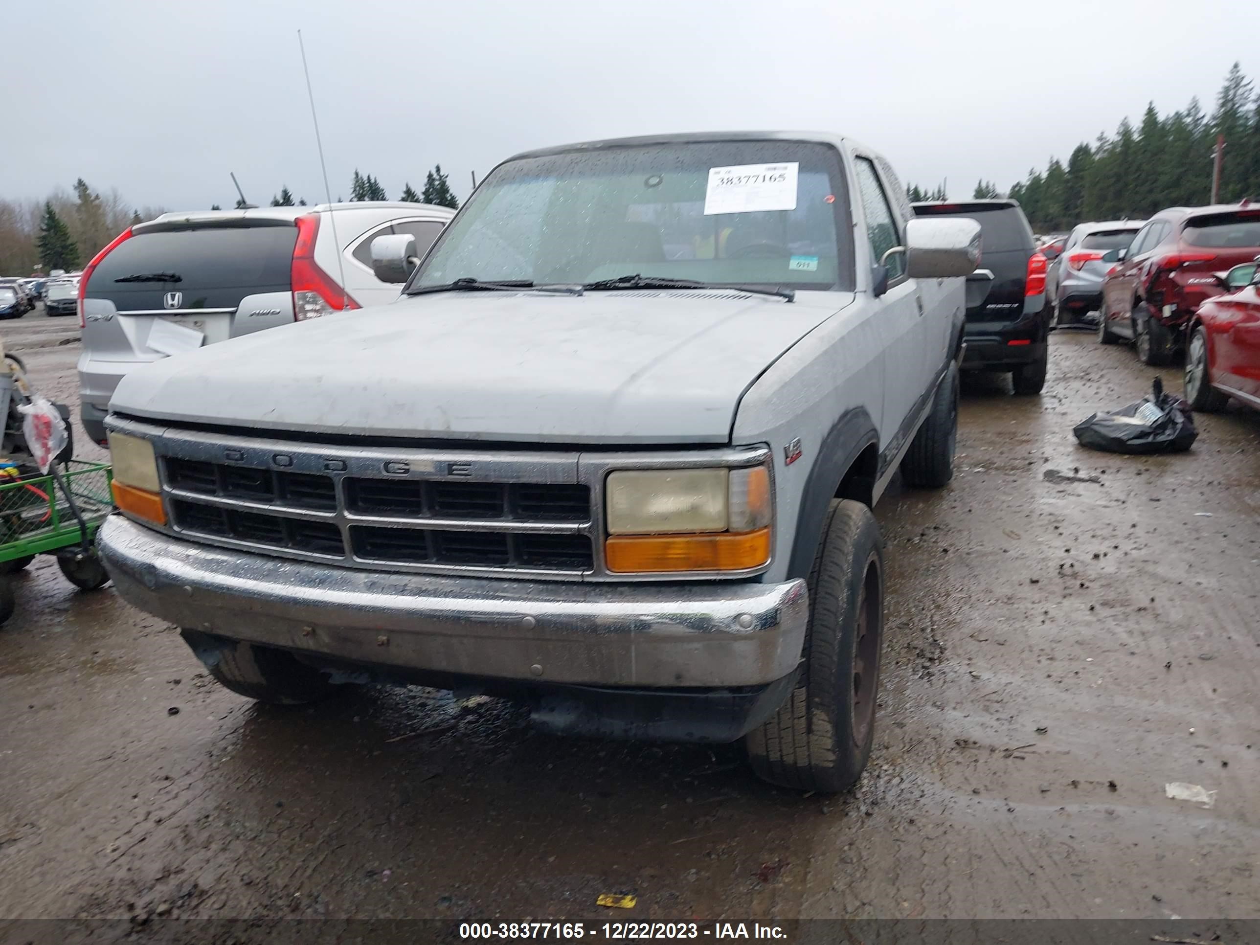 Photo 11 VIN: 1B7GG23YXRS634604 - DODGE DAKOTA 