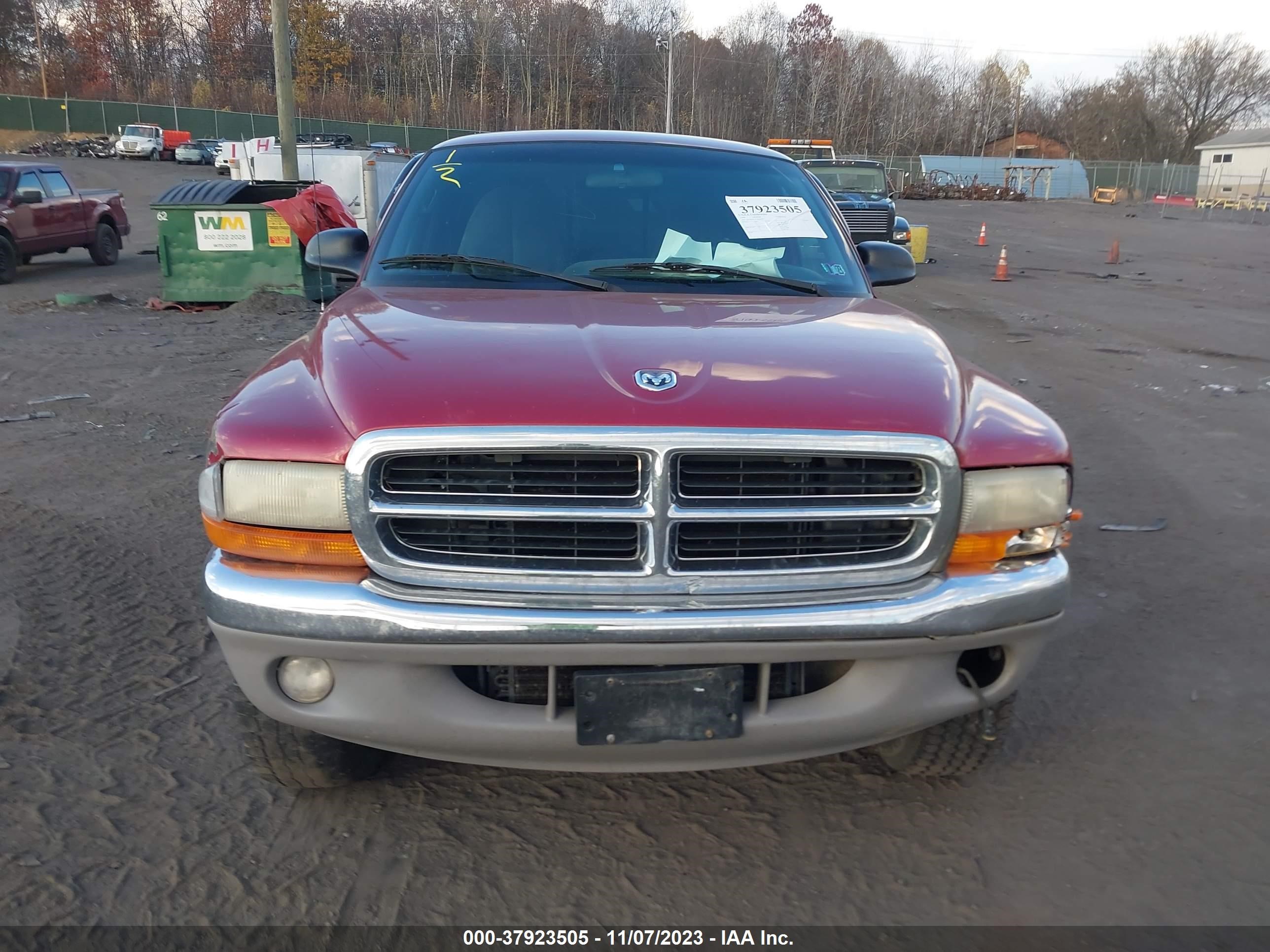 Photo 11 VIN: 1B7GG26X8XS109105 - DODGE DAKOTA 