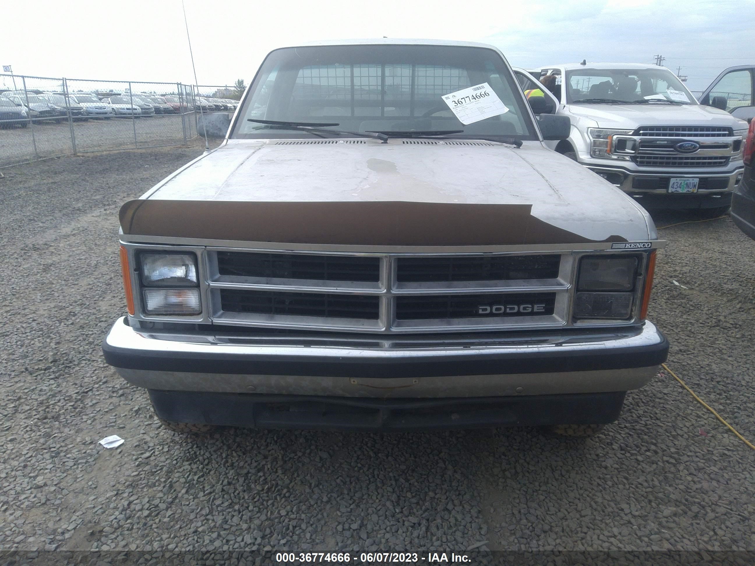 Photo 5 VIN: 1B7GR14X3JS794886 - DODGE DAKOTA 