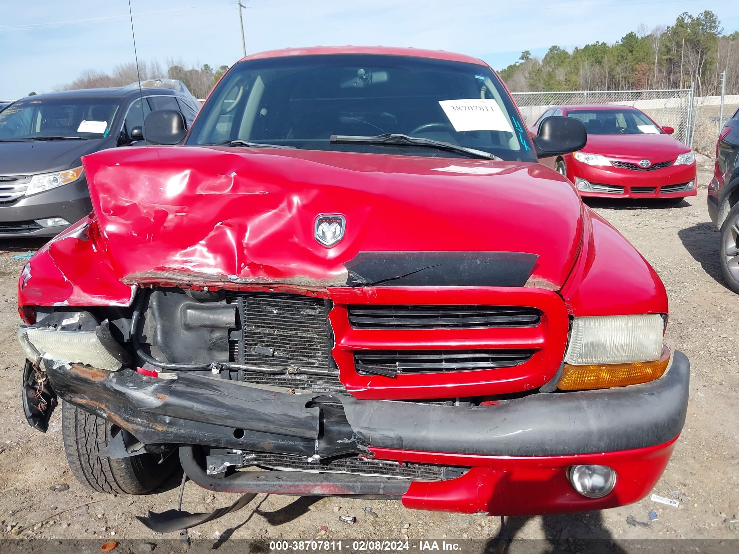 Photo 11 VIN: 1B7HG38N42S584376 - DODGE DAKOTA 