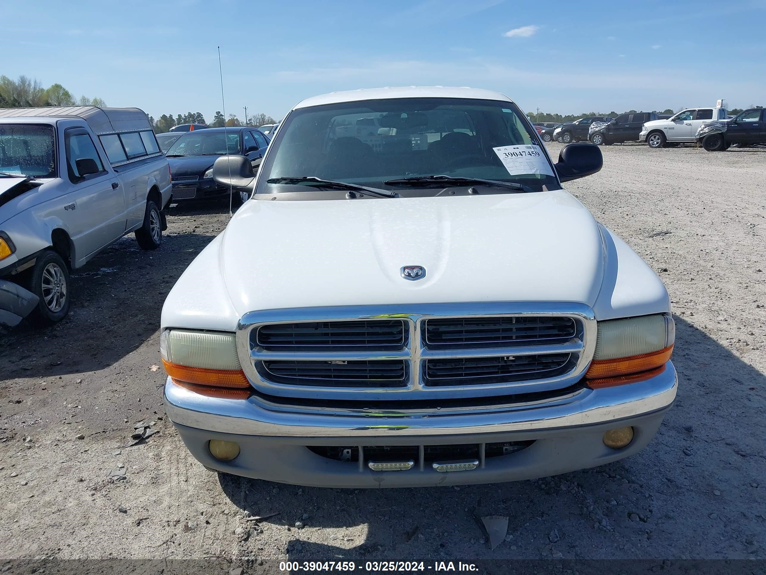 Photo 11 VIN: 1B7HL48N82S505891 - DODGE DAKOTA 