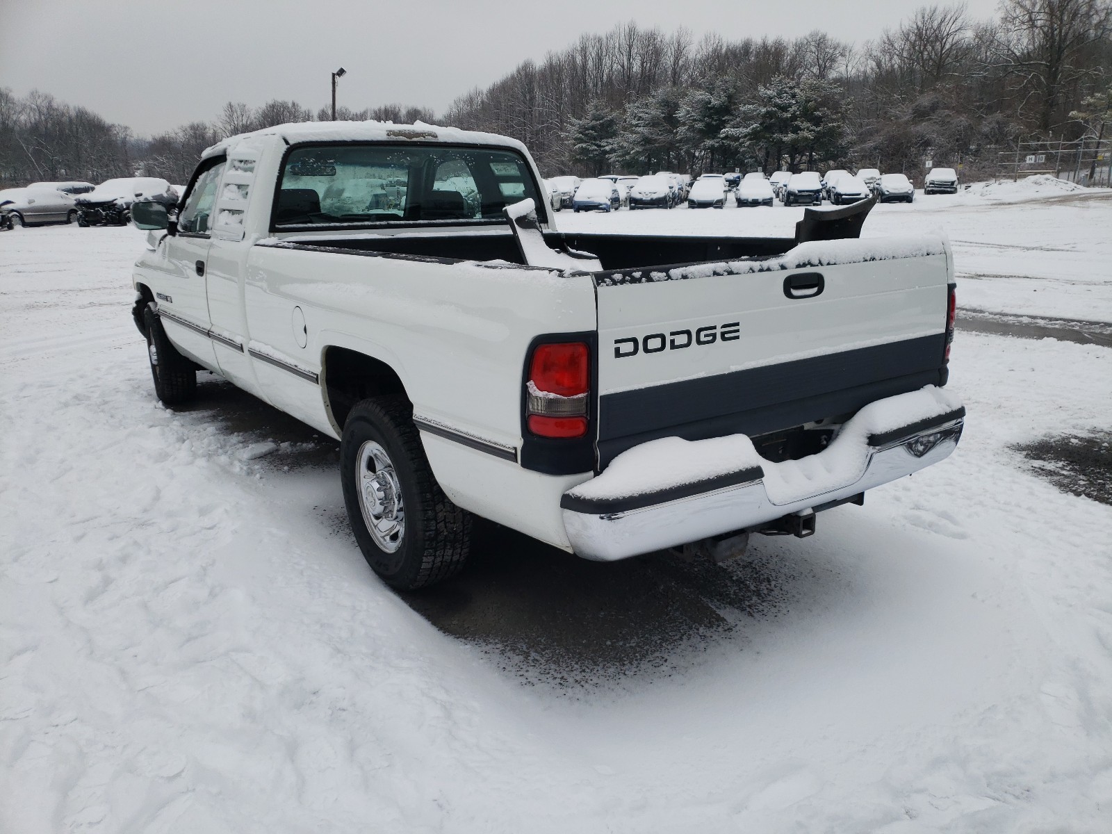 Photo 2 VIN: 1B7KC23W0TJ102991 - DODGE RAM 2500 