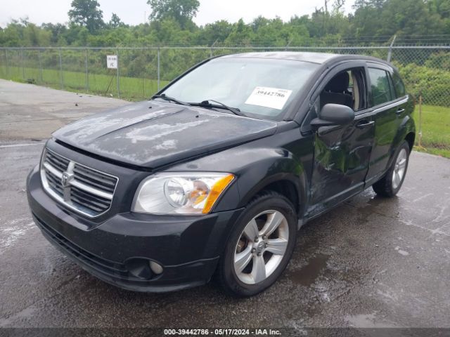 Photo 1 VIN: 1C3CDWDA1CD531555 - DODGE CALIBER 