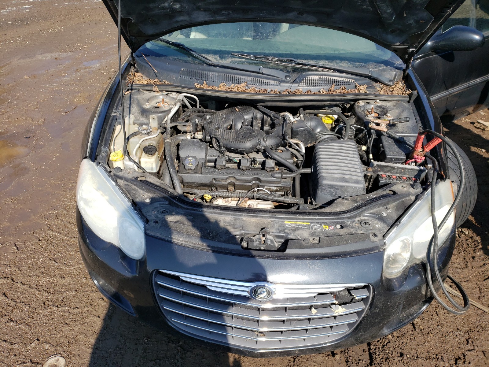 Photo 6 VIN: 1C3EL65R65N503652 - CHRYSLER SEBRING LI 