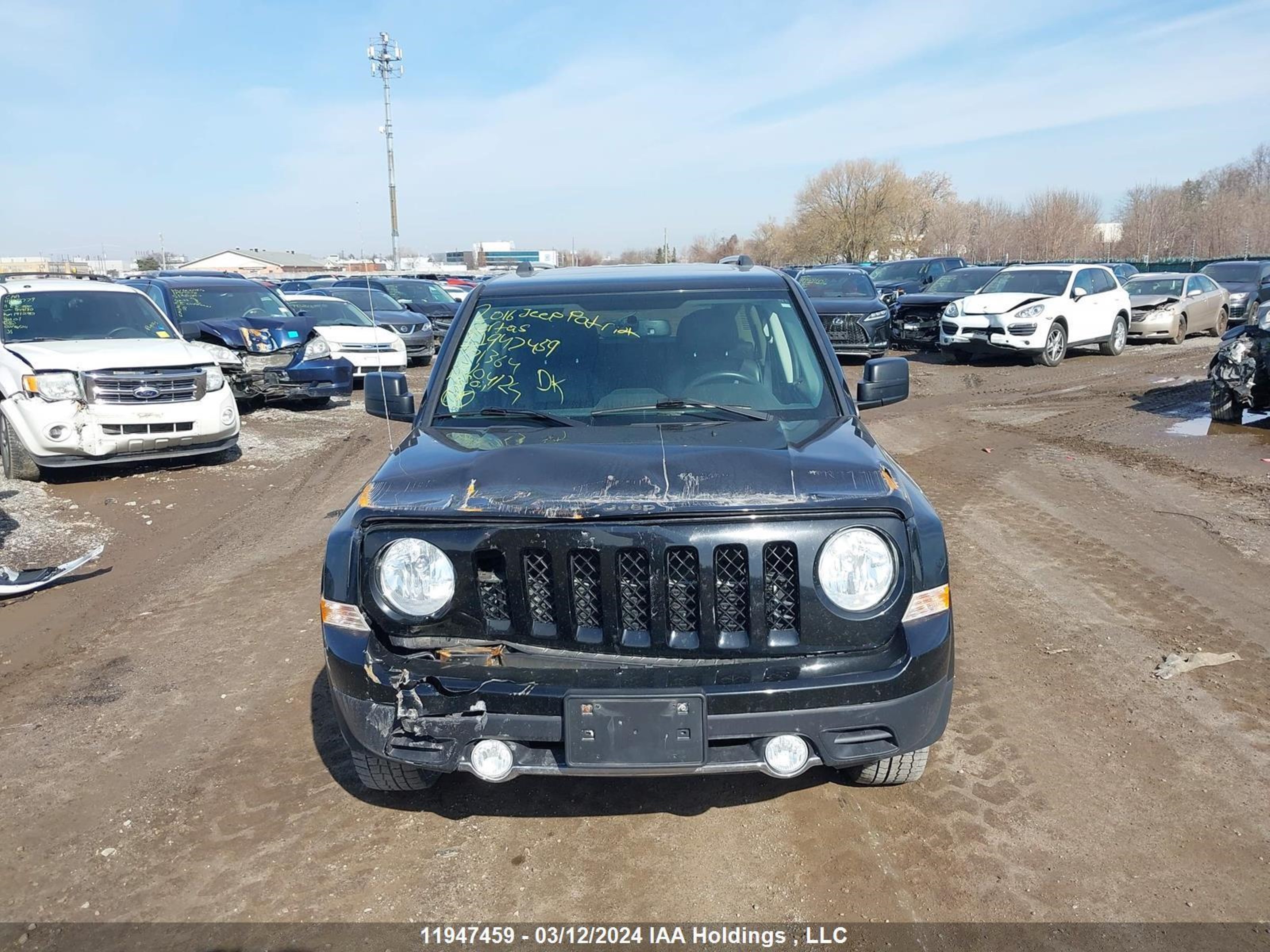 Photo 12 VIN: 1C4NJRAB8GD771364 - JEEP LIBERTY (PATRIOT) 