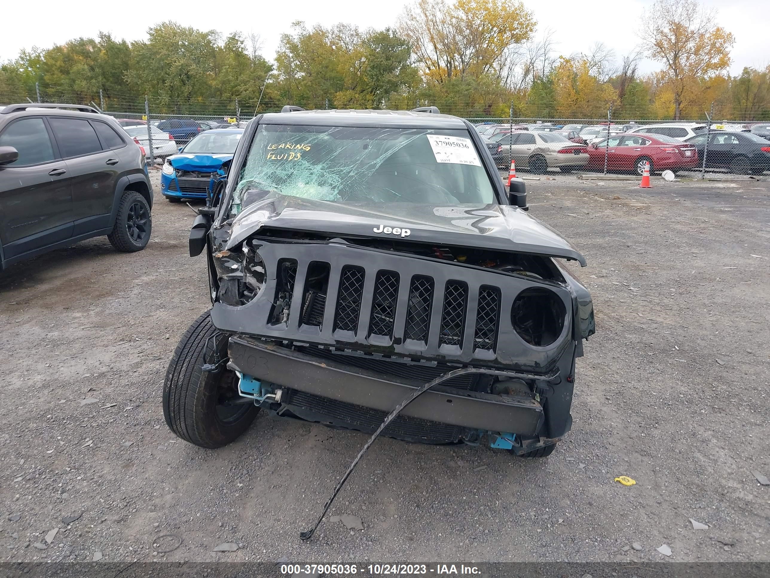 Photo 11 VIN: 1C4NJRBB1GD579542 - JEEP LIBERTY (PATRIOT) 