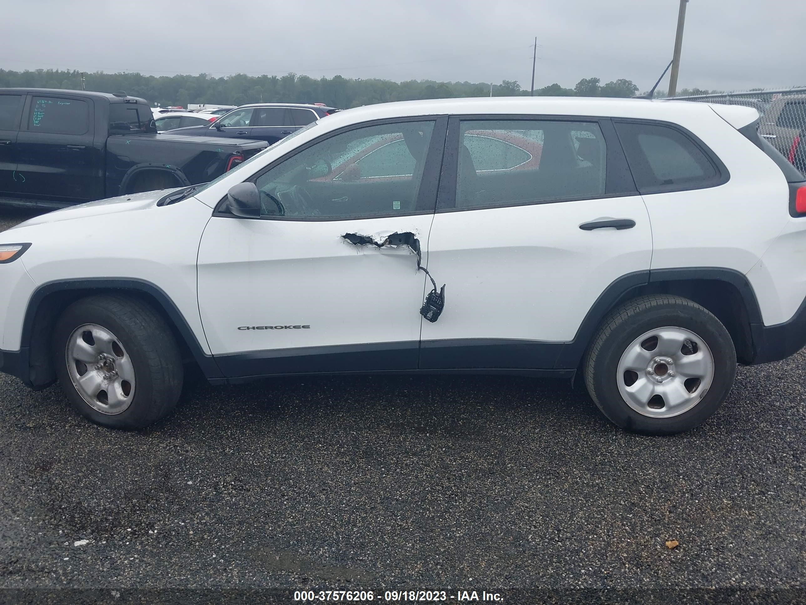 Photo 13 VIN: 1C4PJLAB5GW264156 - JEEP CHEROKEE 