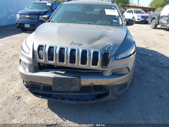 Photo 5 VIN: 1C4PJLAB9GW273264 - JEEP CHEROKEE 