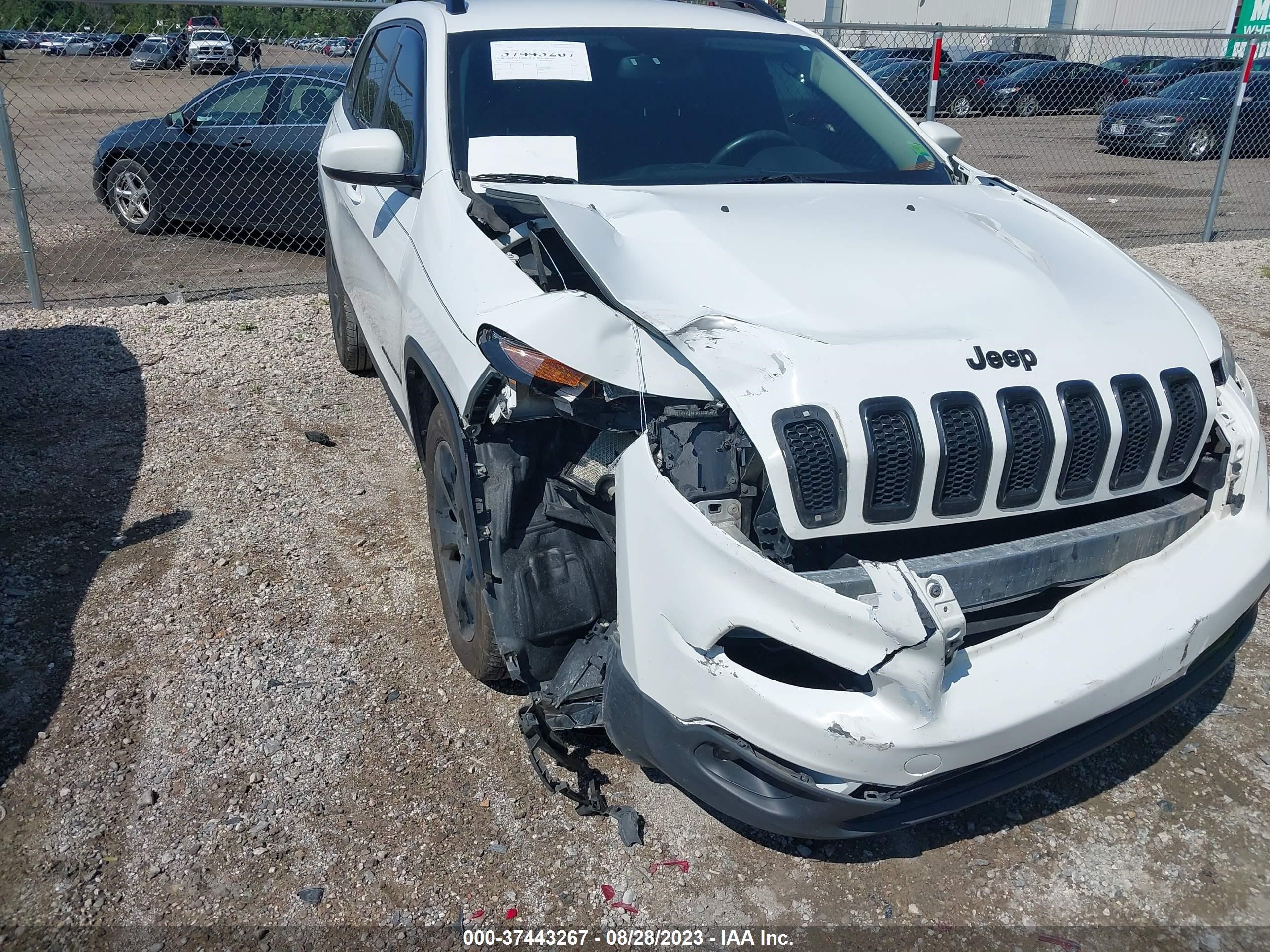 Photo 5 VIN: 1C4PJLCB7GW114000 - JEEP CHEROKEE 