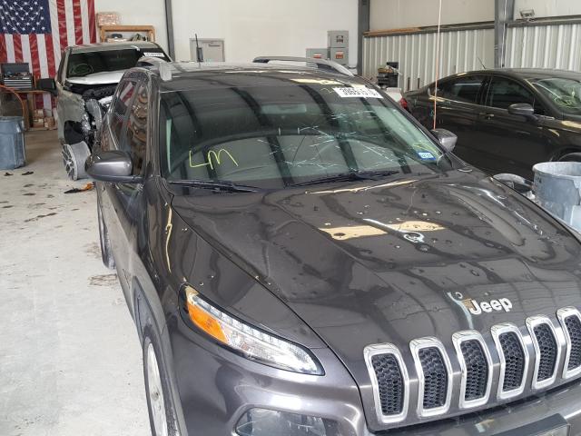 Photo 8 VIN: 1C4PJLCB7GW265113 - JEEP CHEROKEE L 