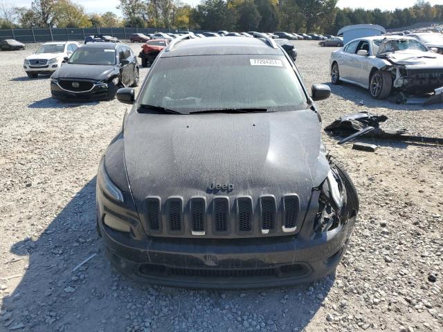 Photo 4 VIN: 1C4PJLCB9GW159987 - JEEP CHEROKEE L 