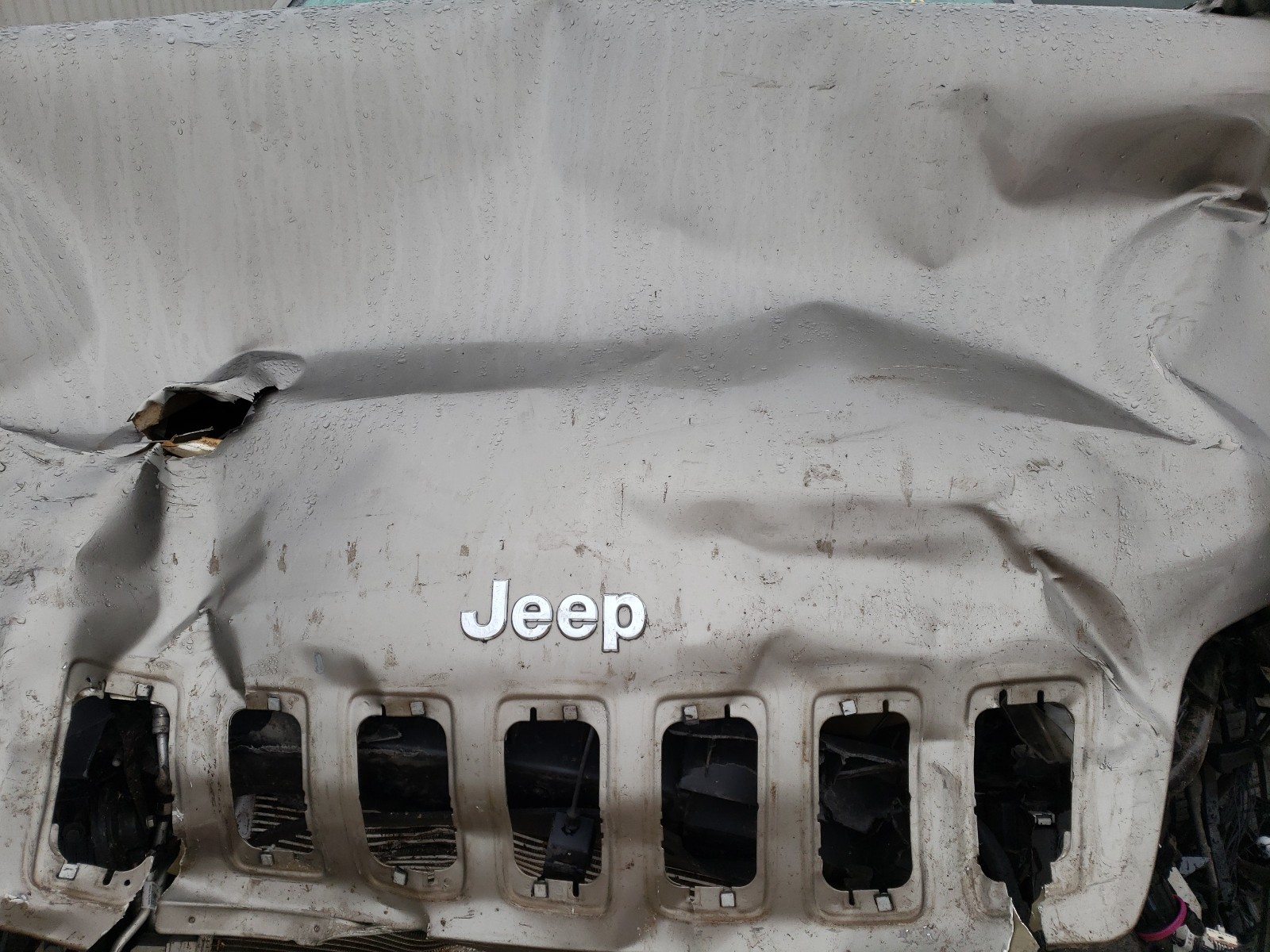 Photo 6 VIN: 1C4PJLCB9KD286176 - JEEP CHEROKEE L 