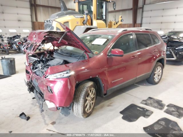 Photo 1 VIN: 1C4PJLCBXEW149045 - JEEP CHEROKEE 