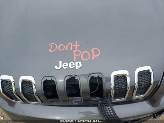 Photo 9 VIN: 1C4PJLCBXFW643732 - JEEP CHEROKEE 