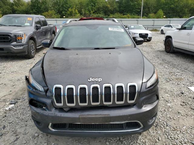 Photo 4 VIN: 1C4PJLDB1GW184221 - JEEP CHEROKEE L 