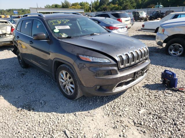 Photo 0 VIN: 1C4PJLDB4GW242936 - JEEP CHEROKEE 