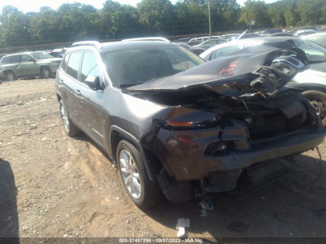 Photo 0 VIN: 1C4PJLDB9GW264351 - JEEP CHEROKEE 