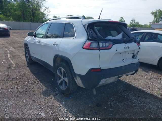 Photo 2 VIN: 1C4PJLDB9LD560668 - JEEP CHEROKEE 