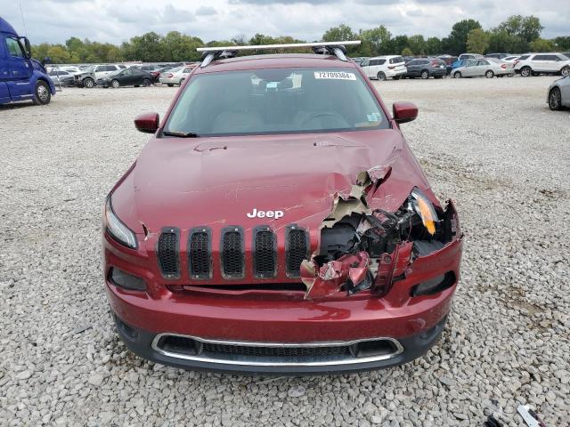 Photo 4 VIN: 1C4PJLDS4GW257047 - JEEP CHEROKEE L 