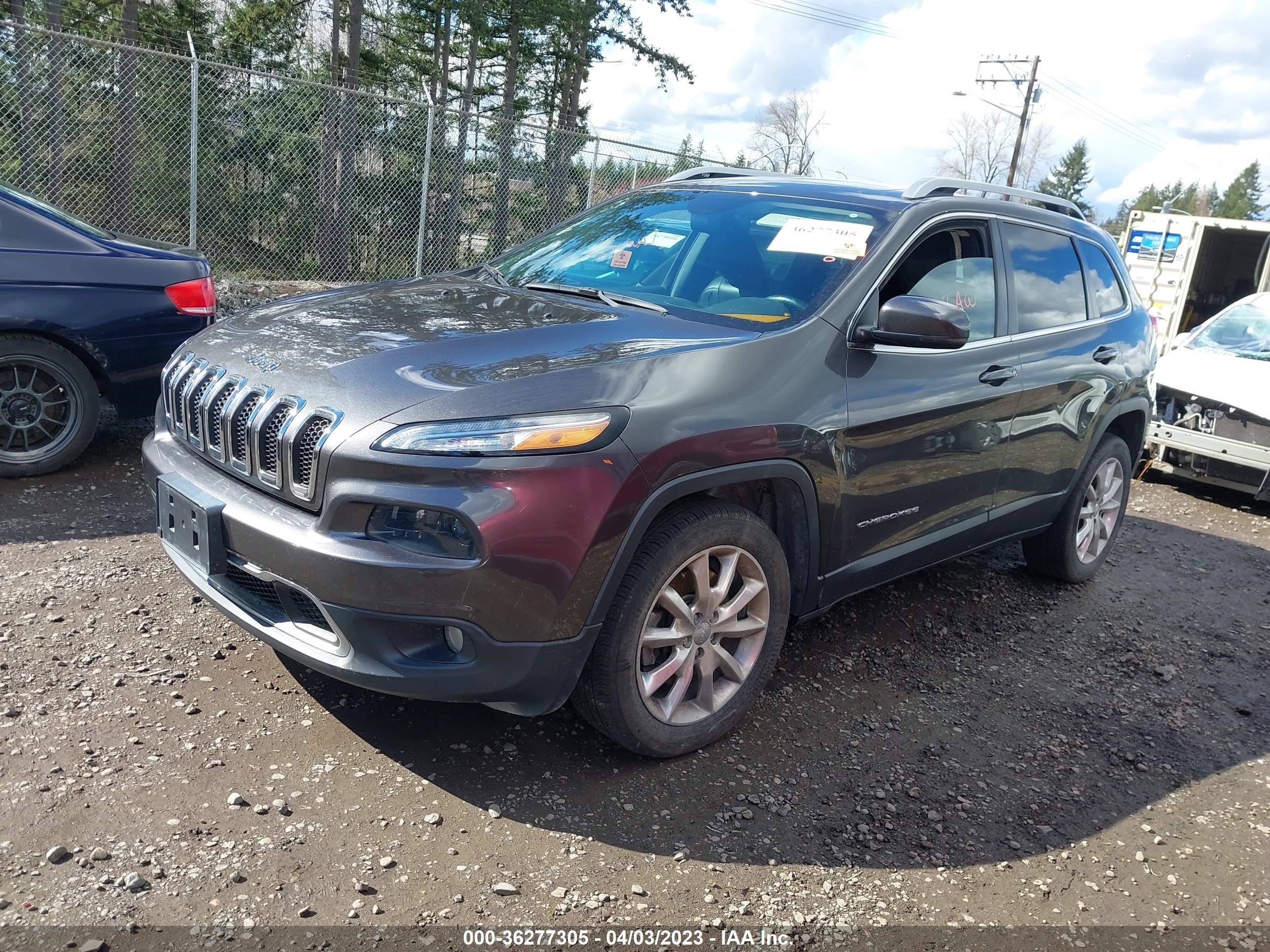 Photo 1 VIN: 1C4PJLDSXEW204205 - JEEP CHEROKEE 