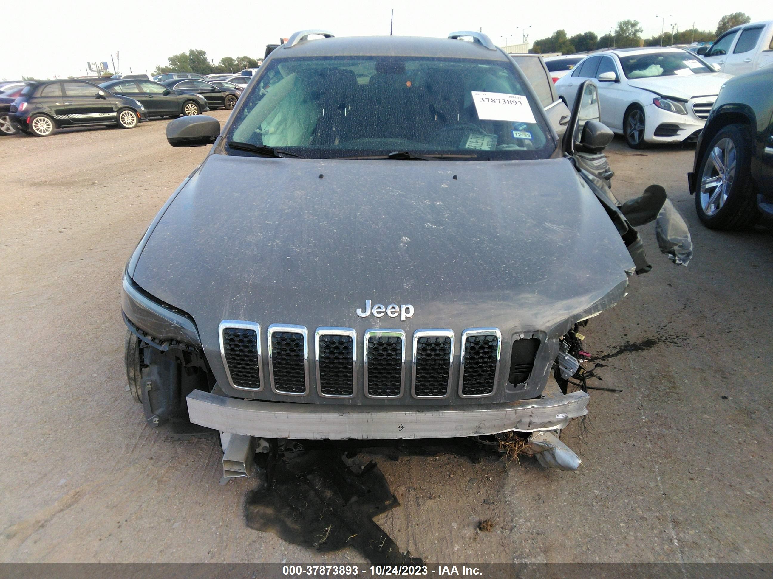 Photo 10 VIN: 1C4PJLLB0LD517127 - JEEP CHEROKEE 