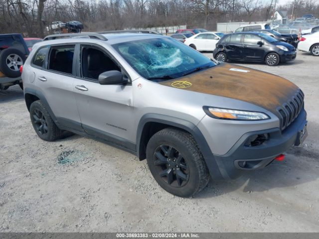 Photo 0 VIN: 1C4PJMBB5JD569096 - JEEP CHEROKEE 