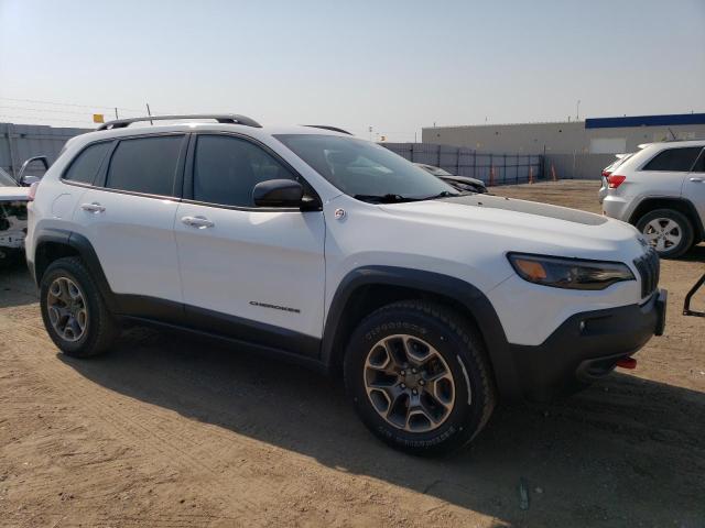 Photo 3 VIN: 1C4PJMBN3LD537812 - JEEP CHEROKEE T 