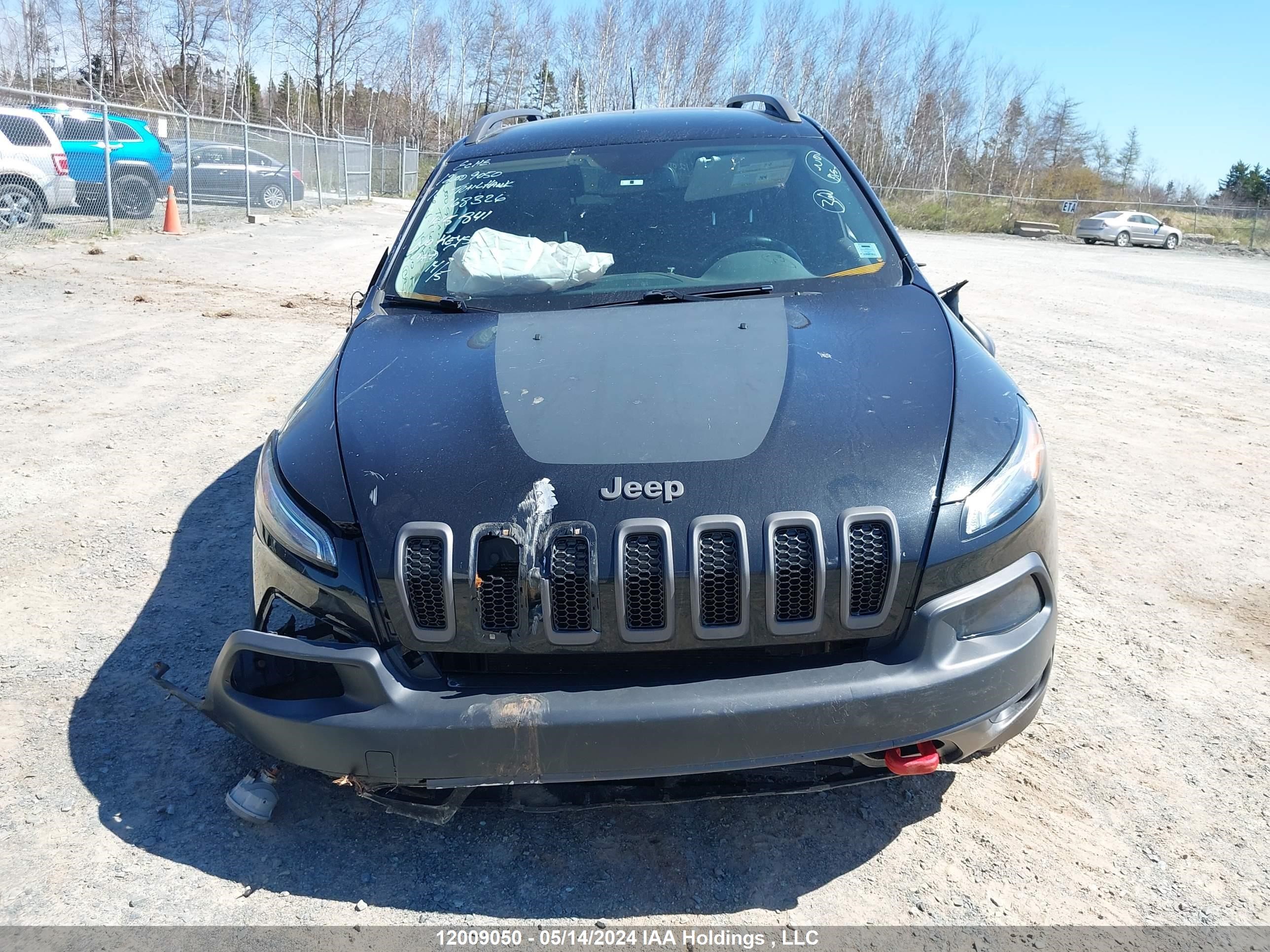 Photo 12 VIN: 1C4PJMBS0GW168326 - JEEP CHEROKEE 