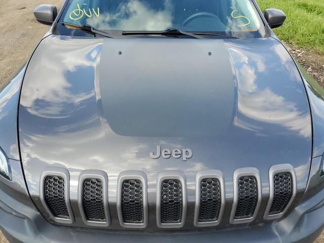 Photo 6 VIN: 1C4PJMBS2GW203366 - JEEP CHEROKEE T 