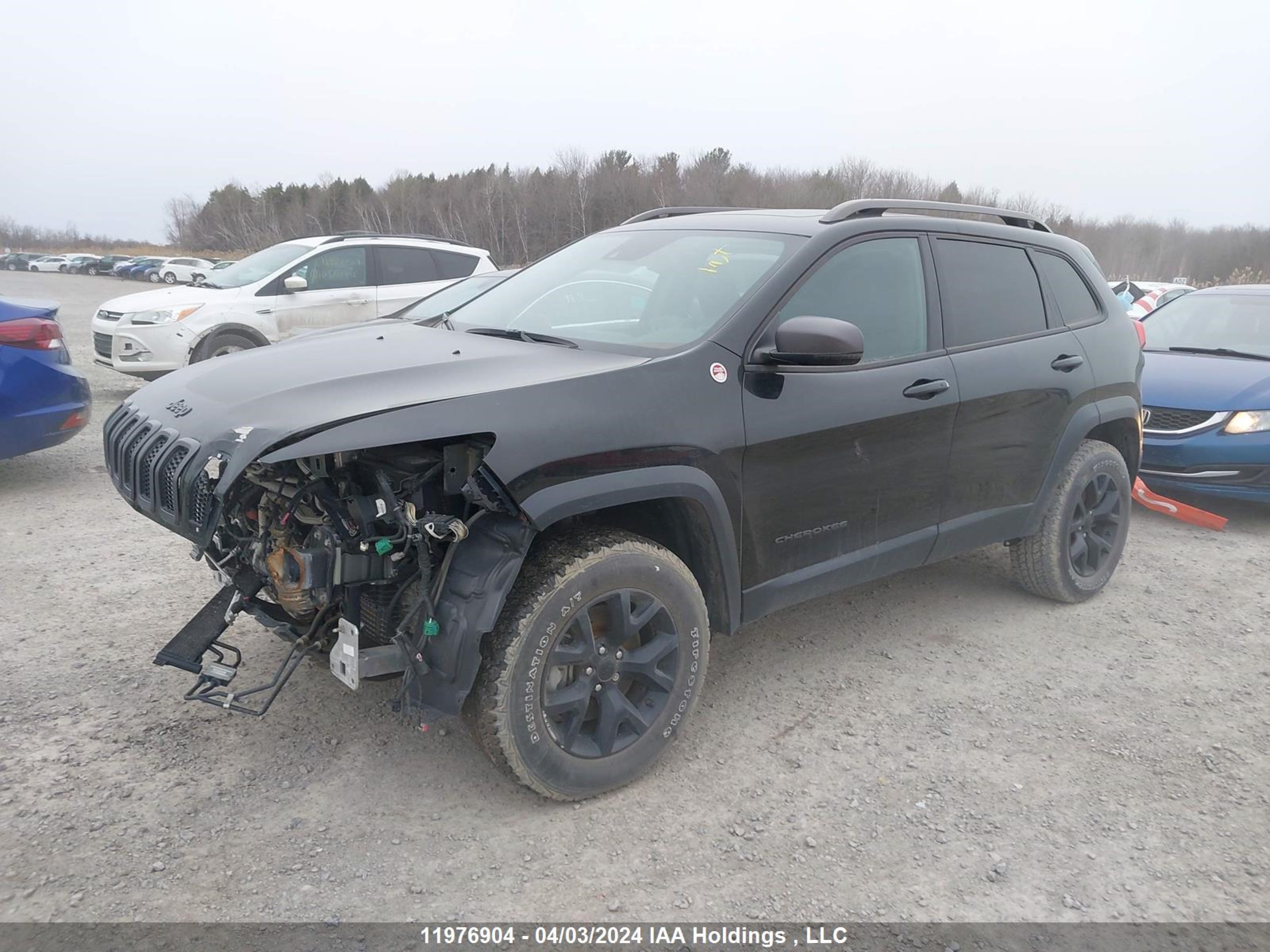 Photo 1 VIN: 1C4PJMBS2GW365269 - JEEP CHEROKEE 