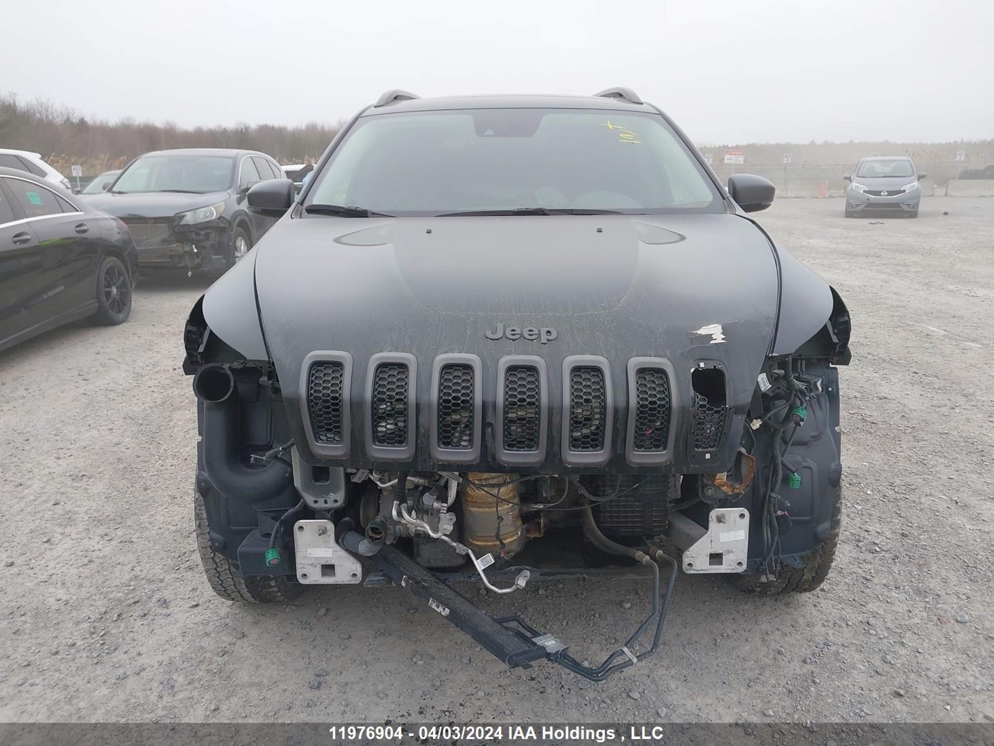 Photo 12 VIN: 1C4PJMBS2GW365269 - JEEP CHEROKEE 