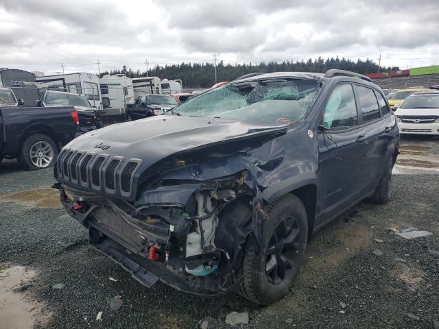 Photo 1 VIN: 1C4PJMBS3GW185959 - JEEP CHEROKEE T 