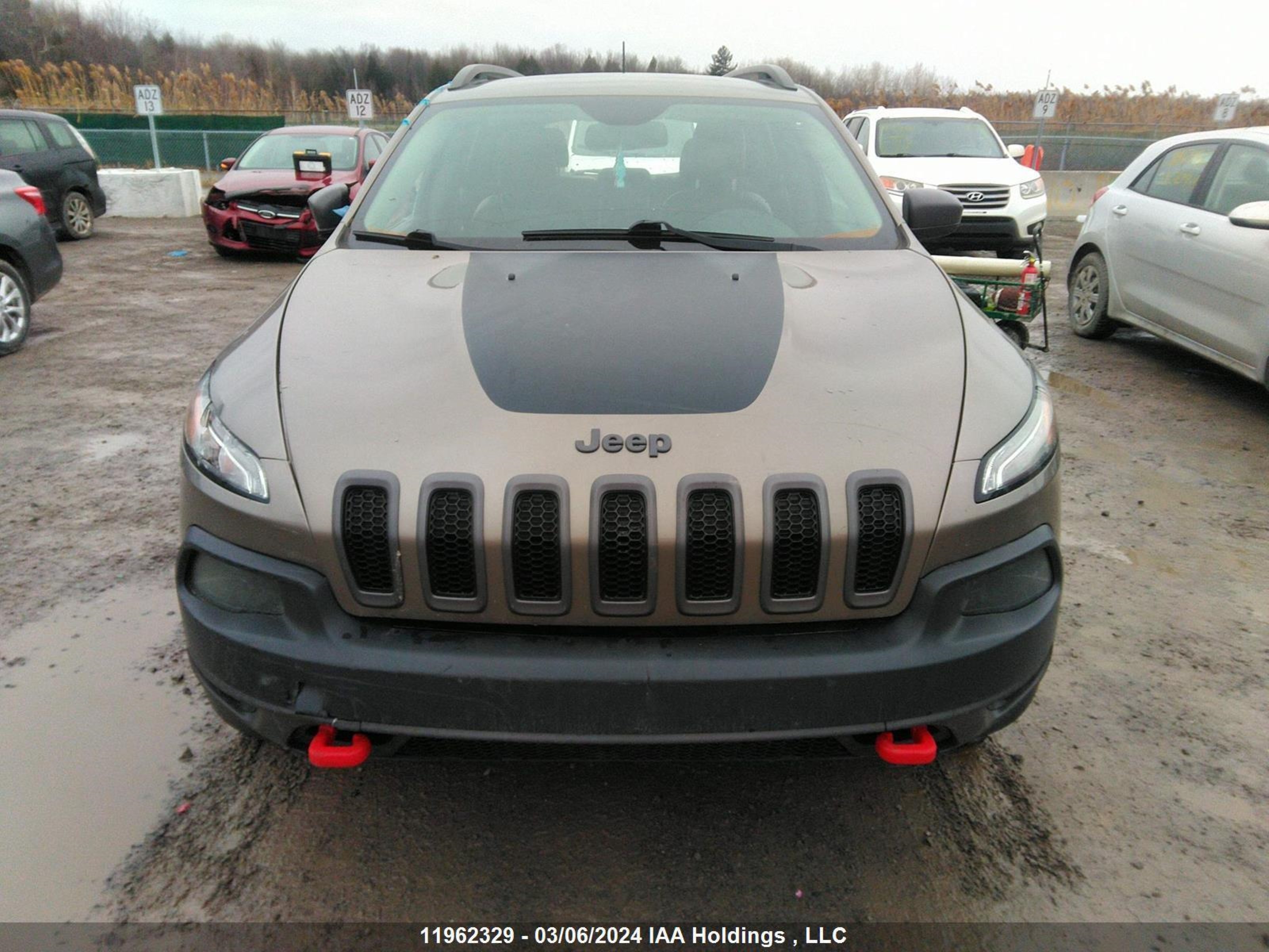 Photo 11 VIN: 1C4PJMBS6GW247144 - JEEP CHEROKEE 