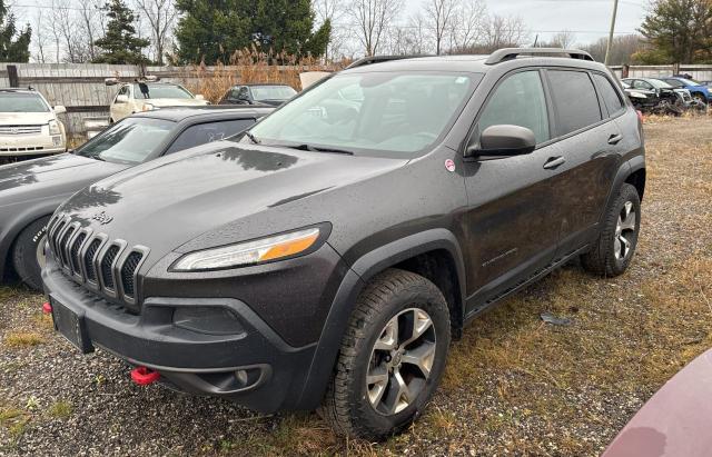 Photo 1 VIN: 1C4PJMBS9EW236989 - JEEP CHEROKEE T 