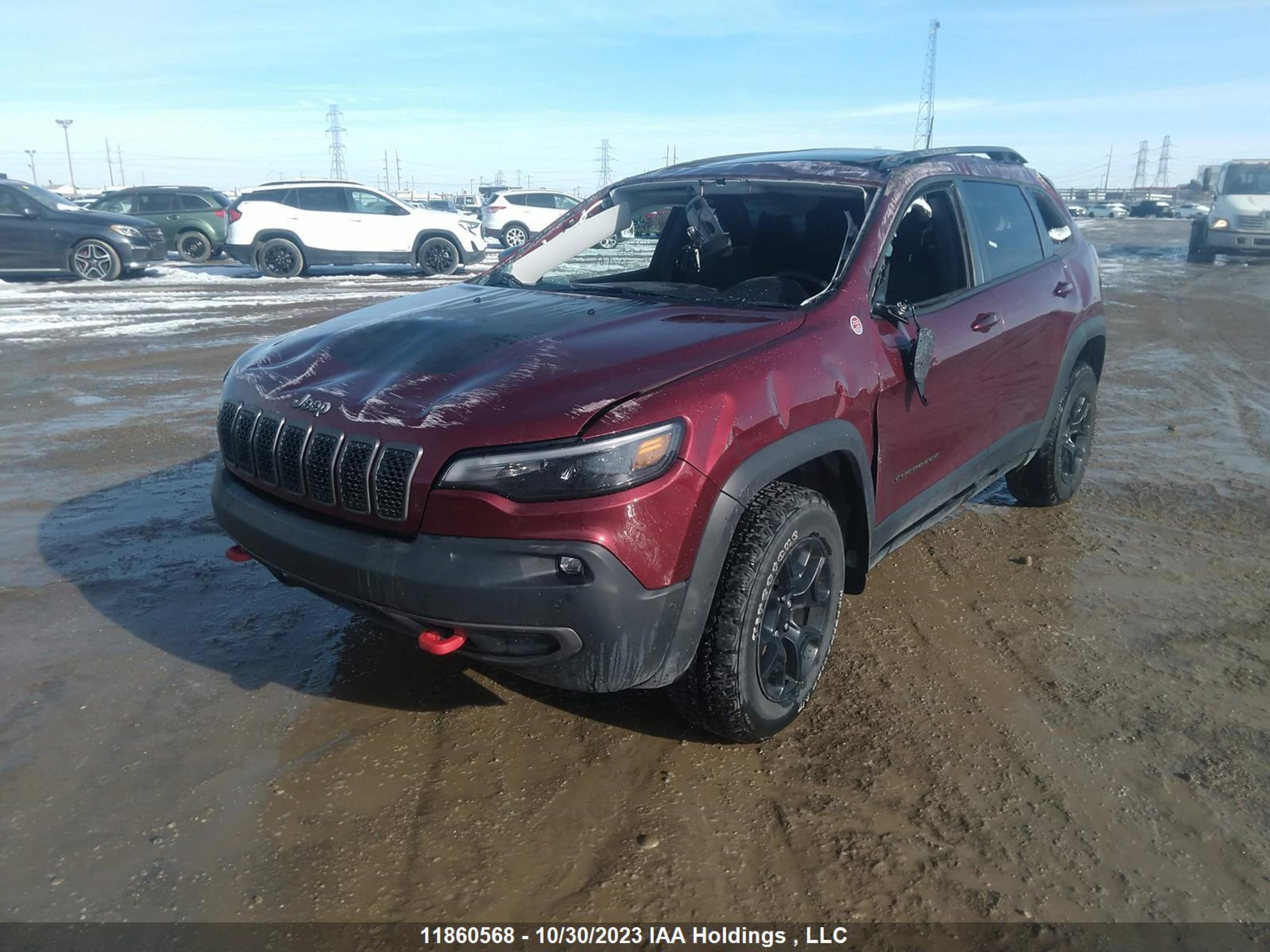 Photo 1 VIN: 1C4PJMBX0LD616064 - JEEP CHEROKEE 