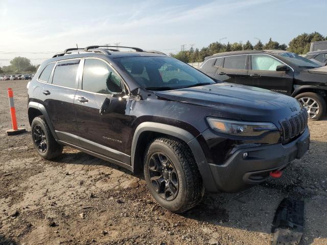 Photo 3 VIN: 1C4PJMBX0MD225742 - JEEP CHEROKEE T 